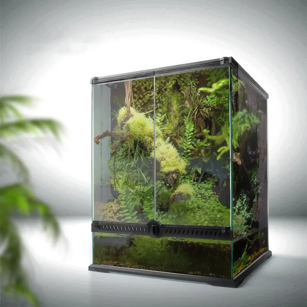 Reptile Terrarium Rainforest Reptile Tank - ProPawPet.com