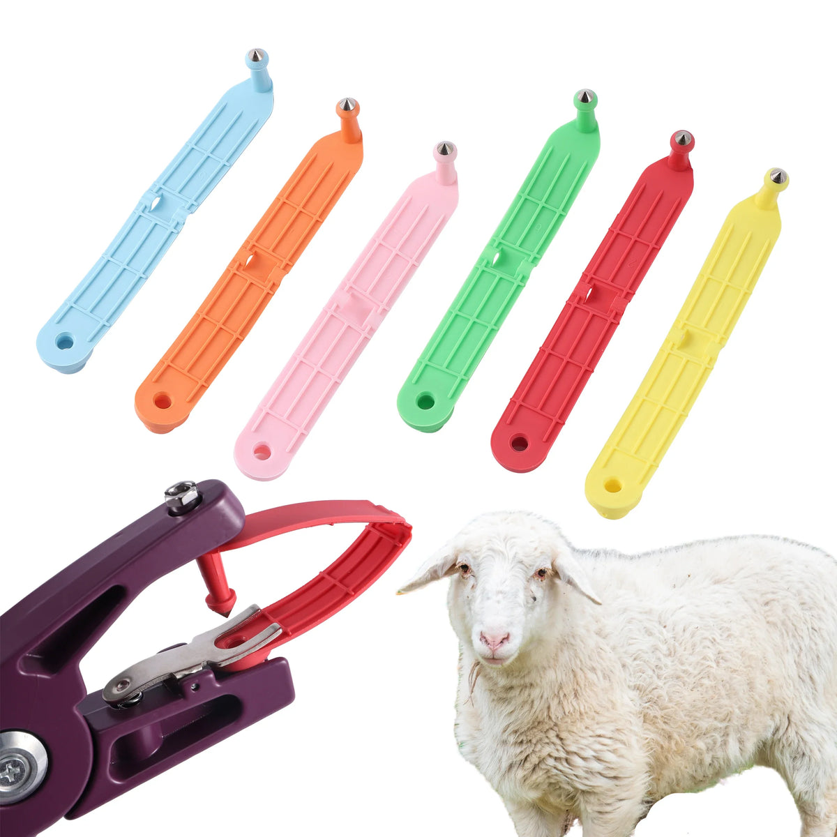 Sheep Ear Tag Without Character One-piece - ProPawPet.com