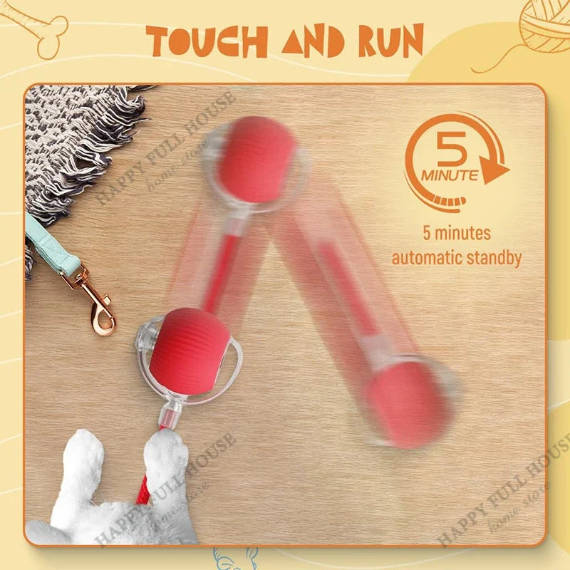 2 in 1 Cat Toy Interactive Ball for Indoor - ProPawPet.com