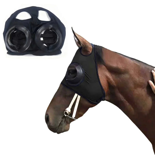 Professional Speed Windproof Horse Racing - ProPawPet.com