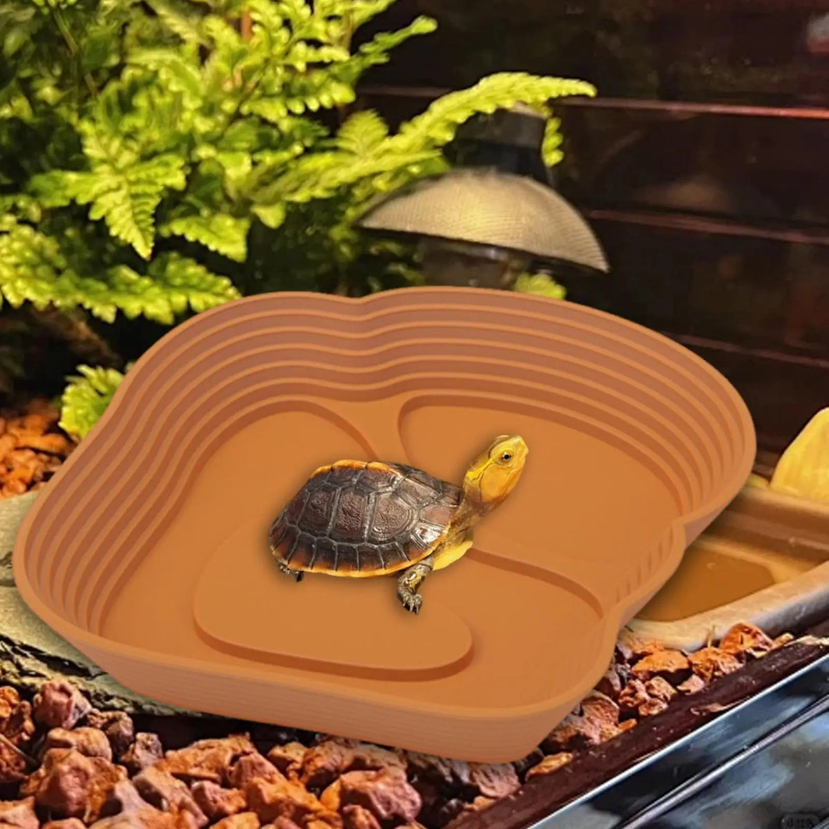 Reptile Water Bowl with Ramp Easy Access Feeding Dish Turtle – 3 Colors