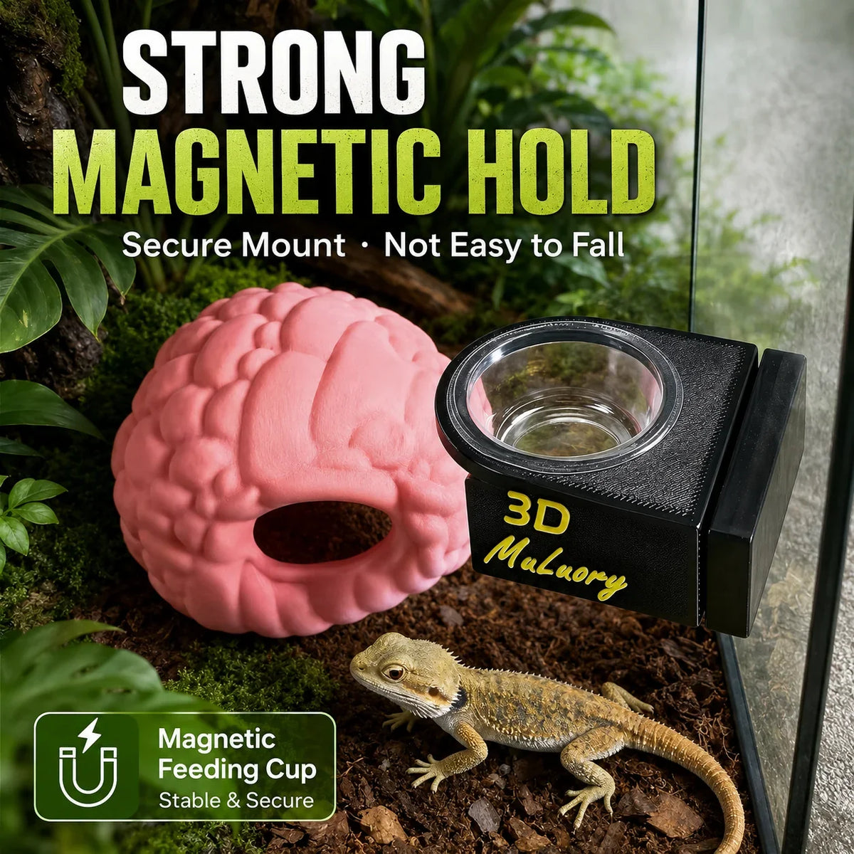 Magnetic Reptile Feeding Cup Holder Wall - ProPawPet.com