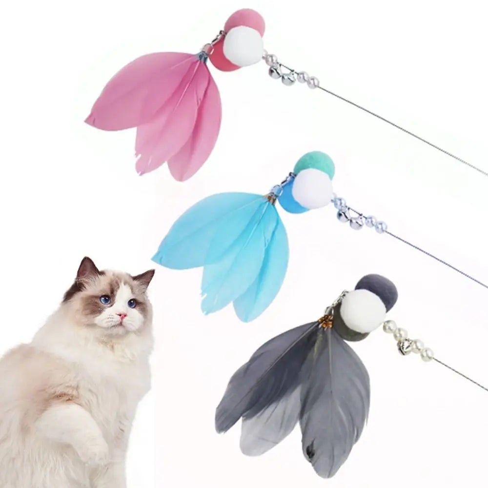 Colorful for Cat Playing Bite resistant with - ProPawPet.com