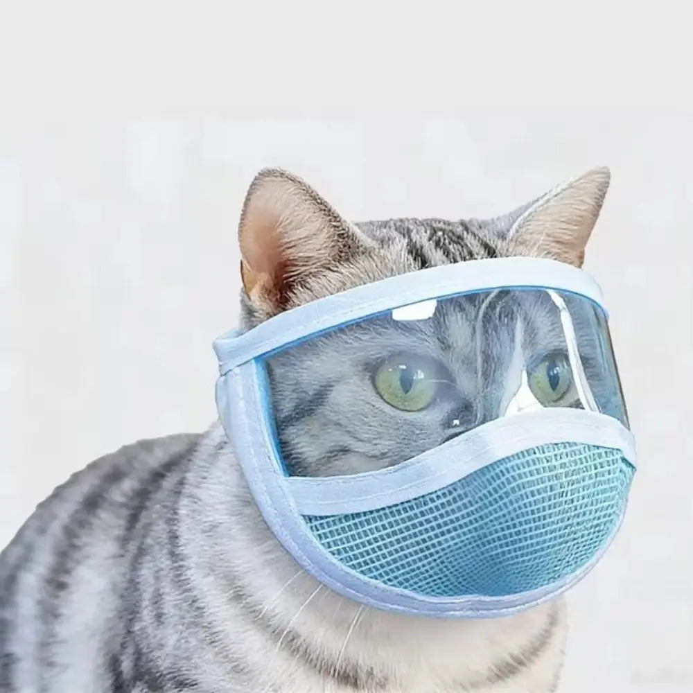 Transparent Cat Mouth Cover Adjustable - ProPawPet.com