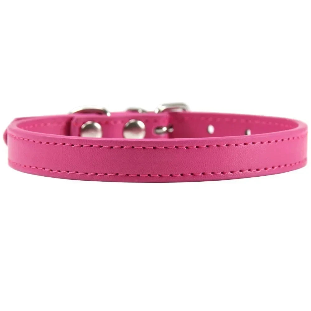 Colorful Leather Puppy Cat Collar Cute - ProPawPet.com