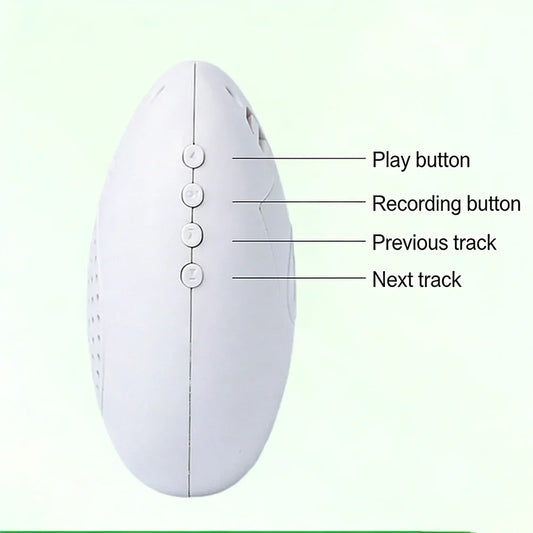 1Pc 6*8cm Interactive Recording Bird - ProPawPet.com