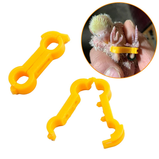 12Pcs 4/5/6mm Pediatric Bird Leg Corrector - ProPawPet.com
