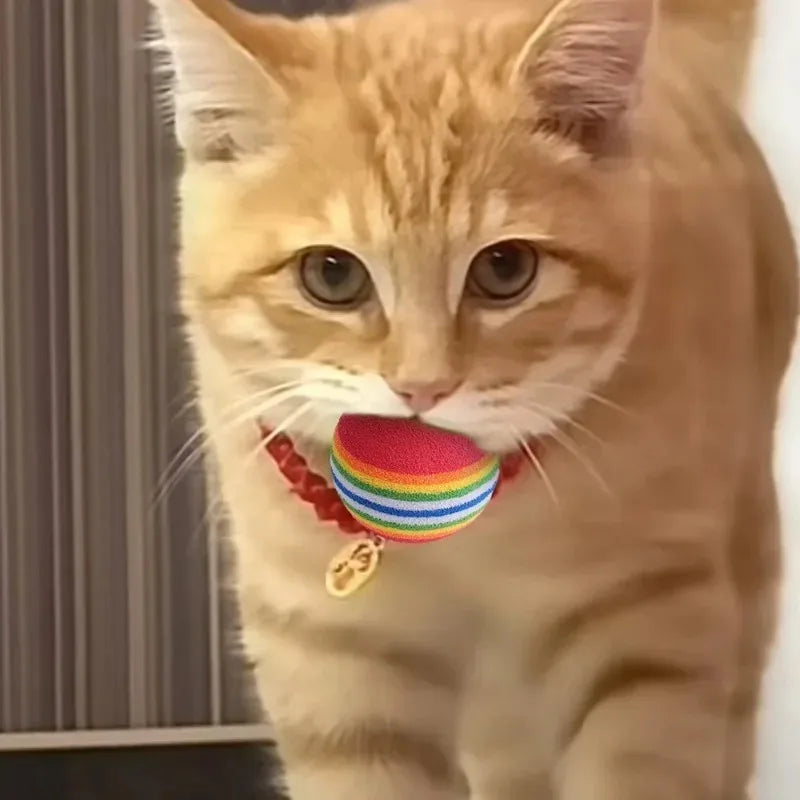 Rainbow EVA Cat Toys Ball Interactive Cat - ProPawPet.com