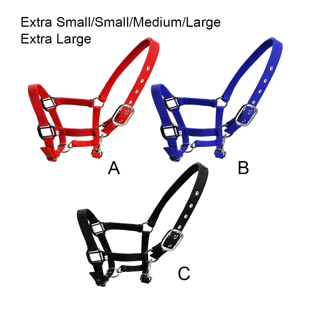 Padded Halter Pony Bridle Head Collar - ProPawPet.com