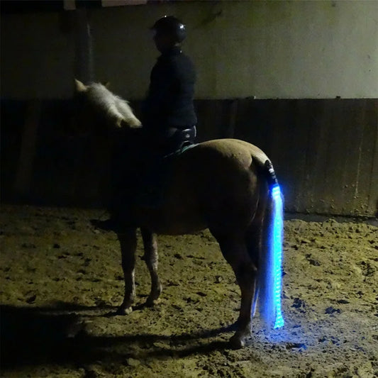 Horse Equipment Riding Tail Trappings - ProPawPet.com