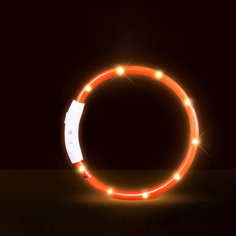 Pet Dog Cat LED Light Collar Luminous - ProPawPet.com