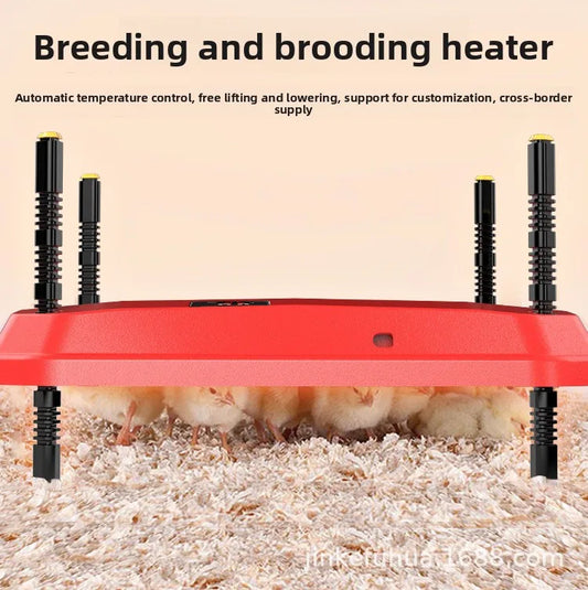 Chick Heating Plate Brooder Heater Chicken - ProPawPet.com