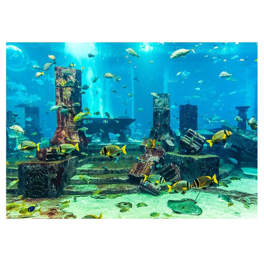 ZK20 Coral Aquarium Background Underwater - ProPawPet.com