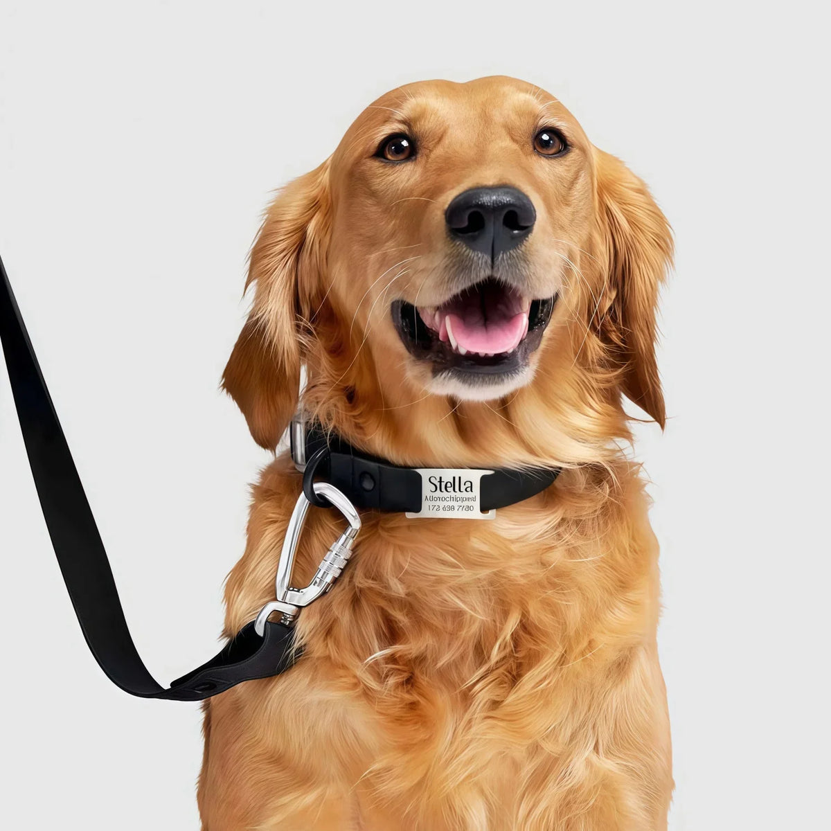 Silent Slide-On Dog Tag Personalized - No - ProPawPet.com