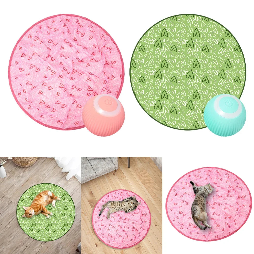 Cat Ball Hunting Exercise Mat Simulate Cat - ProPawPet.com
