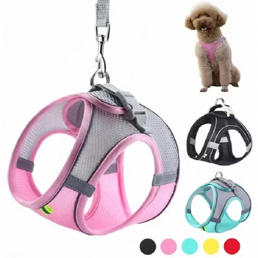 Puppy Cat Vest Harness With Leash Breathable - ProPawPet.com