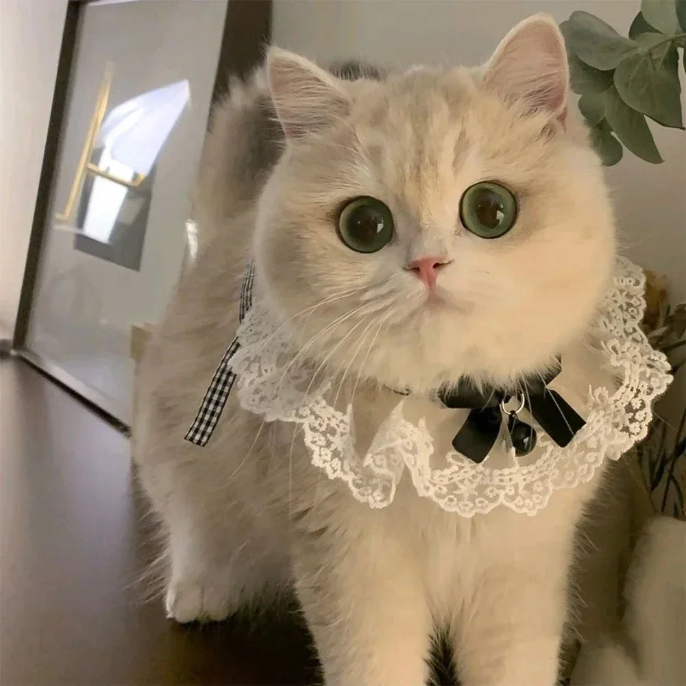 Cute Dog Collar Lace Bowknot Pearl Cat - ProPawPet.com