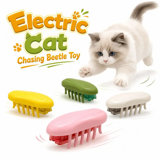 Interactive Play Electric Cat Chasing Beetle - ProPawPet.com