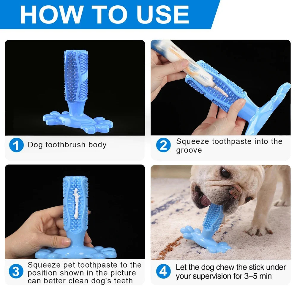 Pet Dog Cactus Interactive Rubber Bite - ProPawPet.com