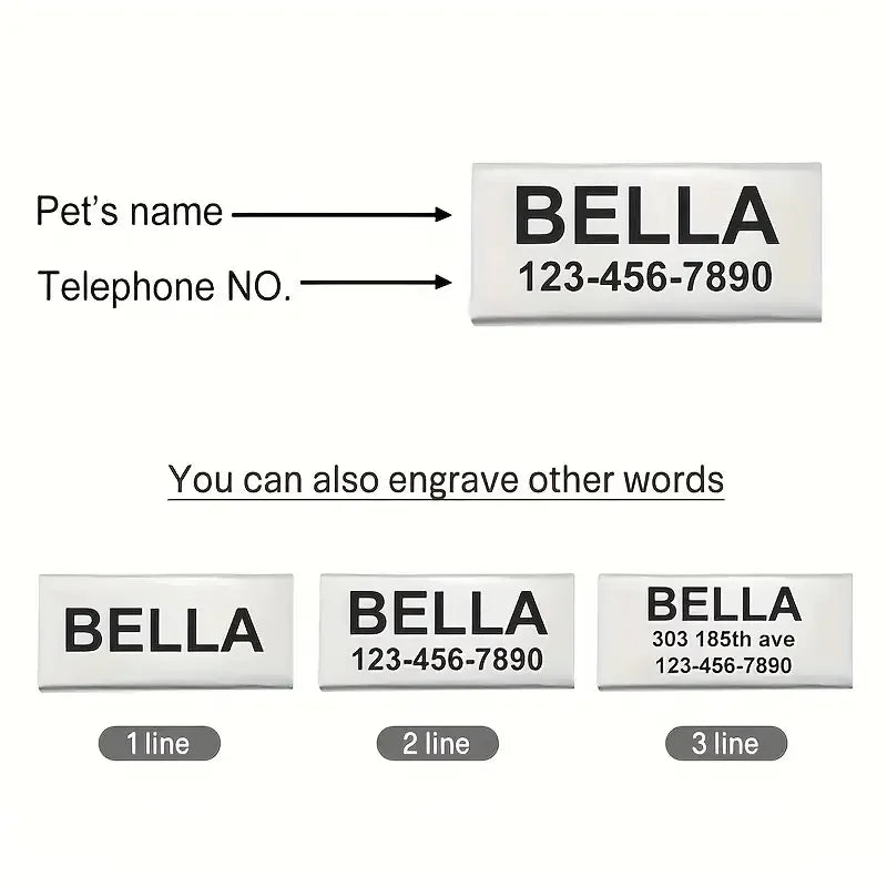 Personalized Cat Collar with Bell Buckle - ProPawPet.com
