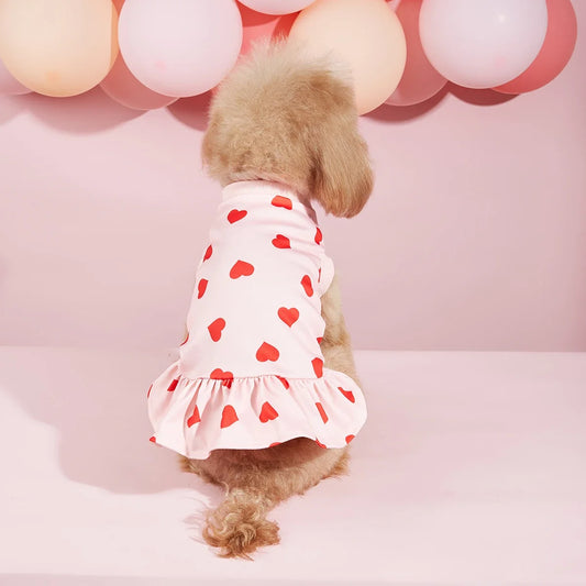 Dog Sweatershirt Dress Valentines Day Dog - ProPawPet.com